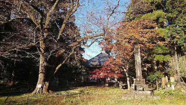 経王山 妙法華寺の参拝記録6