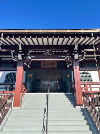 伊豆国分寺の参拝記録(チップさん)