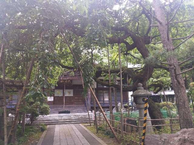 願教寺の参拝記録2