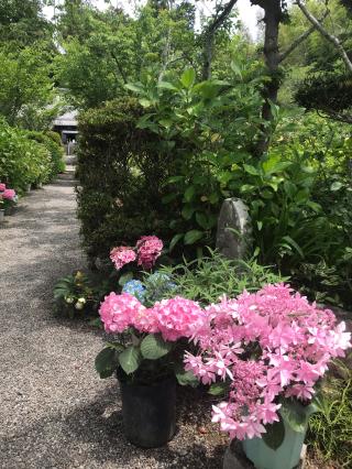 実谷山 極楽寺の参拝記録(チップさん)
