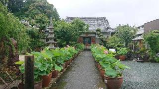 鹿苑山 香勝寺の参拝記録(まっきーさん)