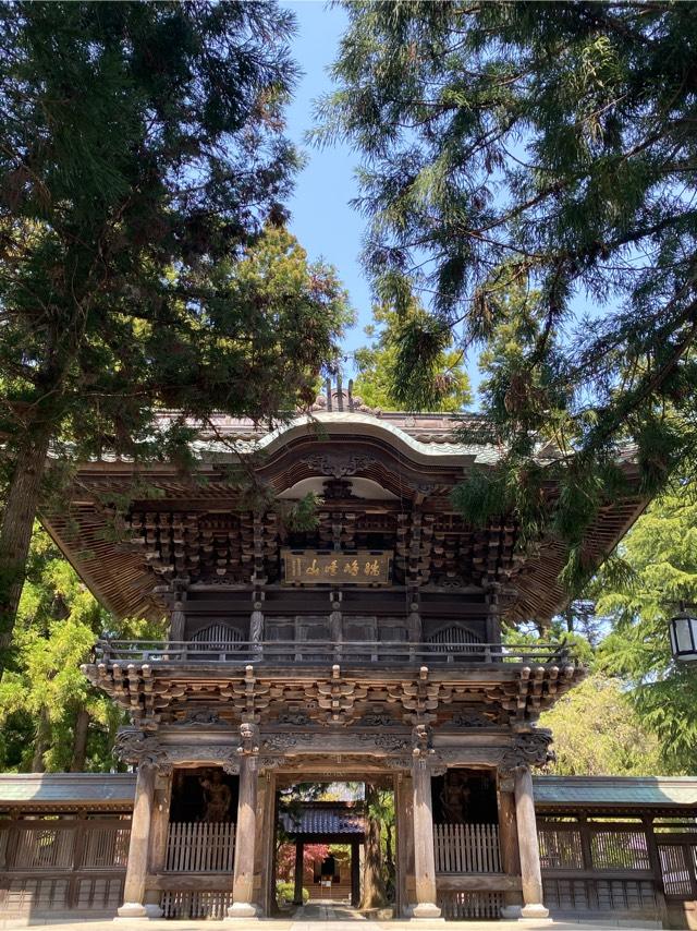 瑞鳩峰山 報恩寺の参拝記録3