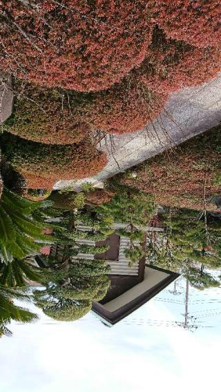 龍王山 妙海寺の参拝記録(ゆうちゃんさん)