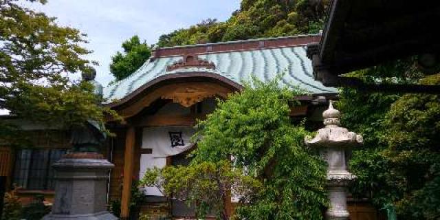 妙蓮寺の行き方・御朱印・口コミ情報｜ 御朱印集めに 神社・お寺検索No.1／神社がいいね・お寺がいいね｜15万件以上の神社仏閣情報掲載