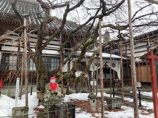 竜谷寺(龍谷寺)の参拝記録(MA-323さん)