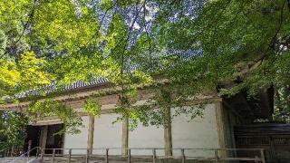 関山中尊寺金色堂の参拝記録(ななめコロッケさん)