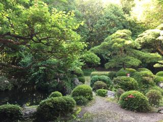 天柱山 吐月峰 柴屋寺の参拝記録(筋肉ゴリラさん)