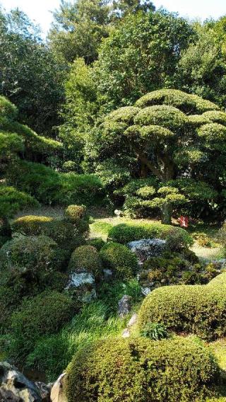 天柱山 吐月峰 柴屋寺の参拝記録(たまりんさん)