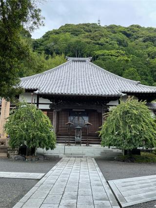 東漸寺の参拝記録(チップさん)