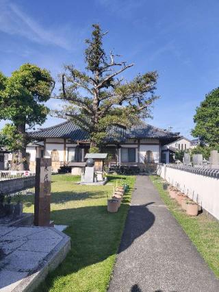 鳳林寺（ほうりんじ）の参拝記録(さとみさん)
