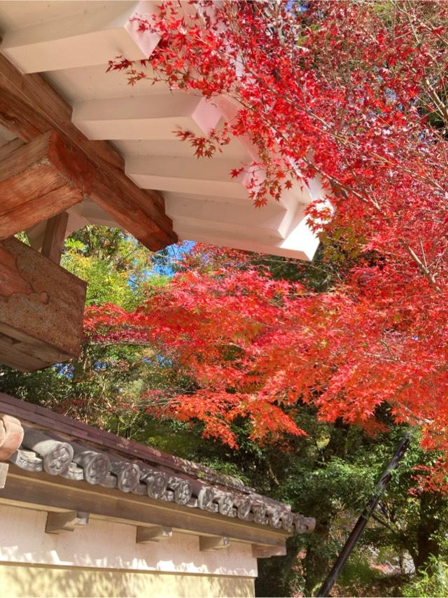 醫王山 藥王院 油山寺の参拝記録8