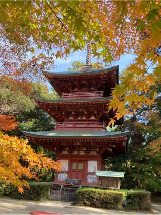 醫王山 藥王院 油山寺の参拝記録(まさるさん)
