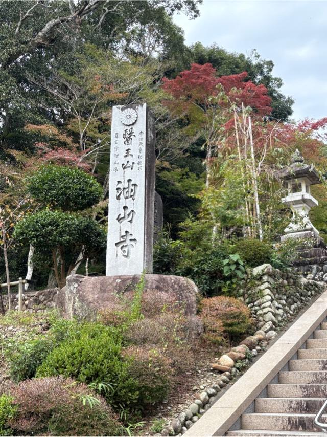 醫王山 藥王院 油山寺の参拝記録9