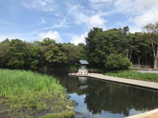 松秀寺の参拝記録(たけちゃんさん)