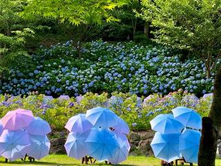 法多山 尊永寺の参拝記録(筋肉ゴリラさん)