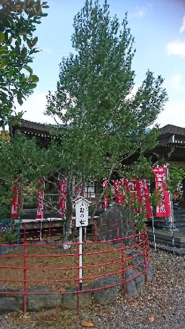 静岡県藤枝市原6-1 清水寺の写真4