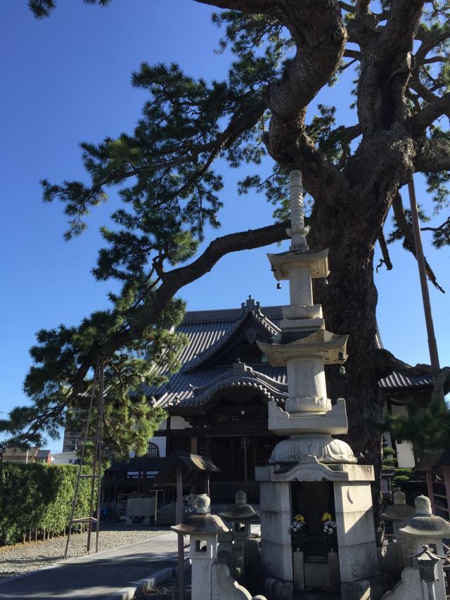 円妙山 大慶寺の参拝記録9
