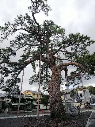 円妙山 大慶寺の参拝記録(千箇寺さん)