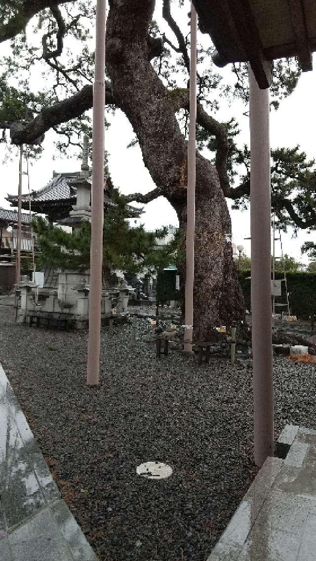 円妙山 大慶寺の参拝記録4