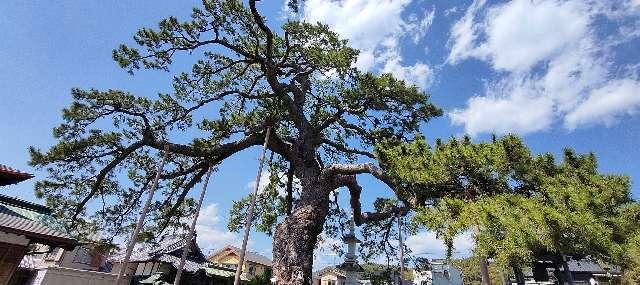 円妙山 大慶寺の参拝記録1