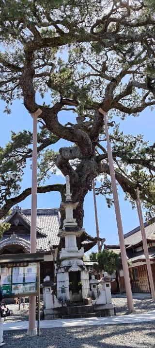 円妙山 大慶寺の参拝記録(teruさん)