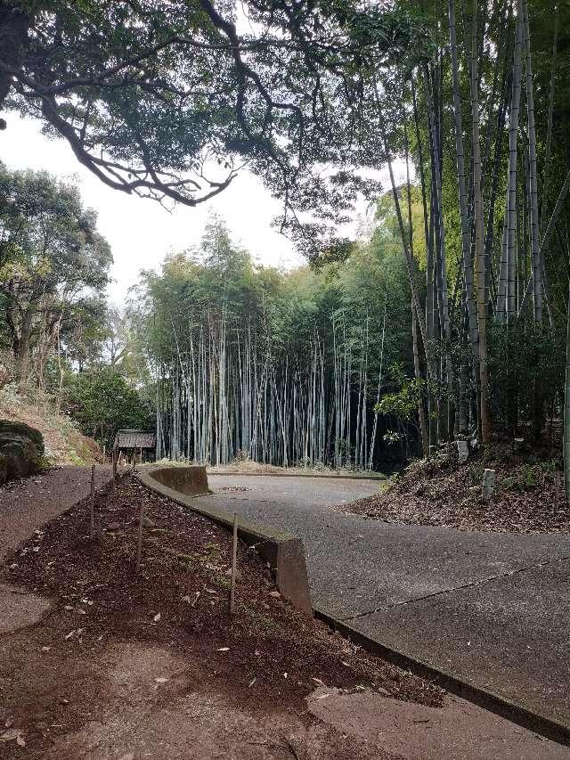26.根越山 長谷寺 伊豆八十八ヶ所霊場第二十六番札所の参拝記録2