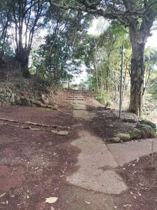 26.根越山 長谷寺 伊豆八十八ヶ所霊場第二十六番札所の参拝記録(さとみさん)