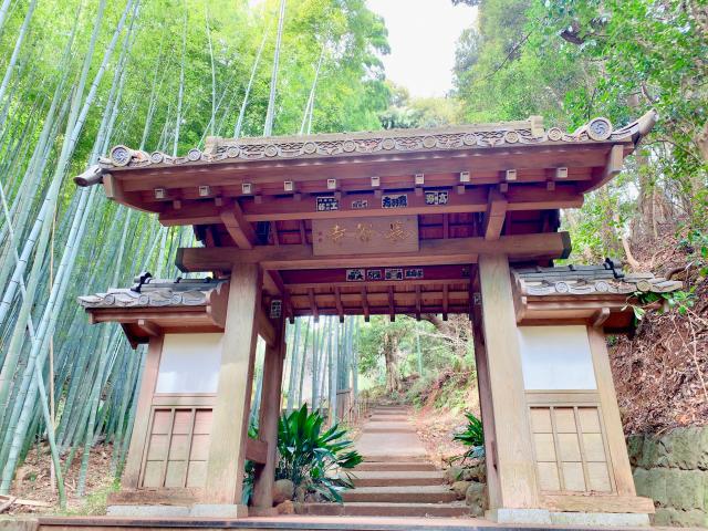 26.根越山 長谷寺 伊豆八十八ヶ所霊場第二十六番札所の参拝記録7