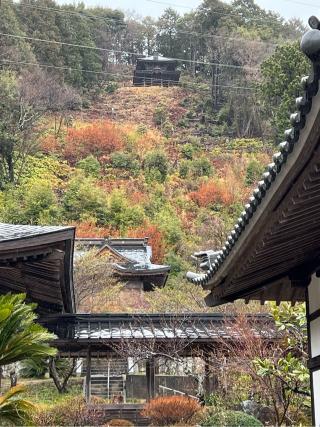 光明寺の参拝記録(せーこさん)