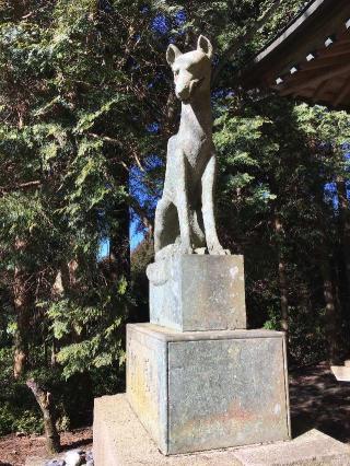 大光寺の参拝記録(だーよしさん)