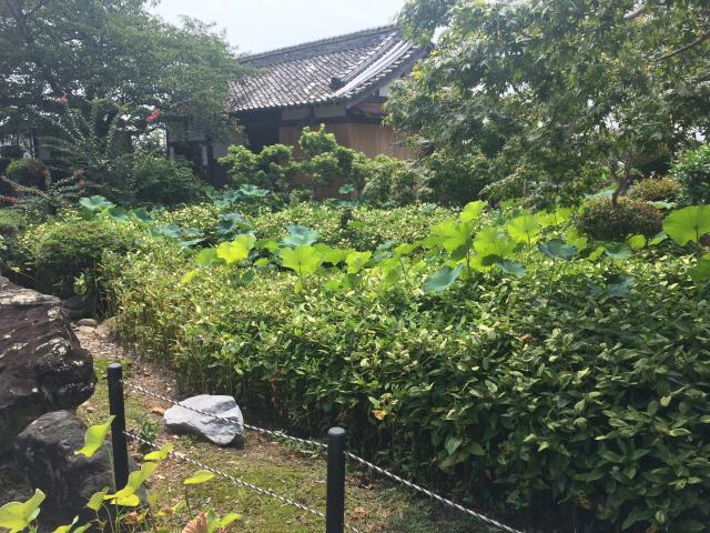静岡県浜松市浜名区宮口635-1 庚申寺の写真4
