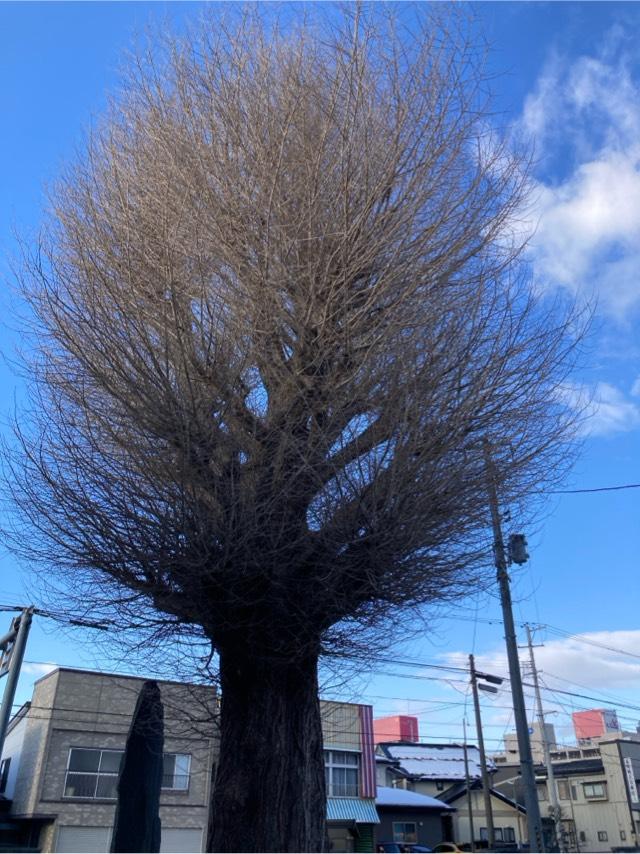 西念寺の参拝記録1