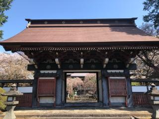 妙蓮寺の参拝記録(ショウゴパさん)