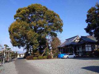 富士山 久遠寺(小泉久遠寺)の参拝記録(ＦÙKUさん)