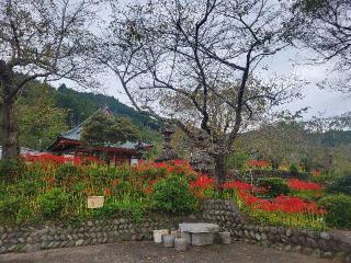 大日蓮華山 興徳寺の参拝記録(まっきーさん)