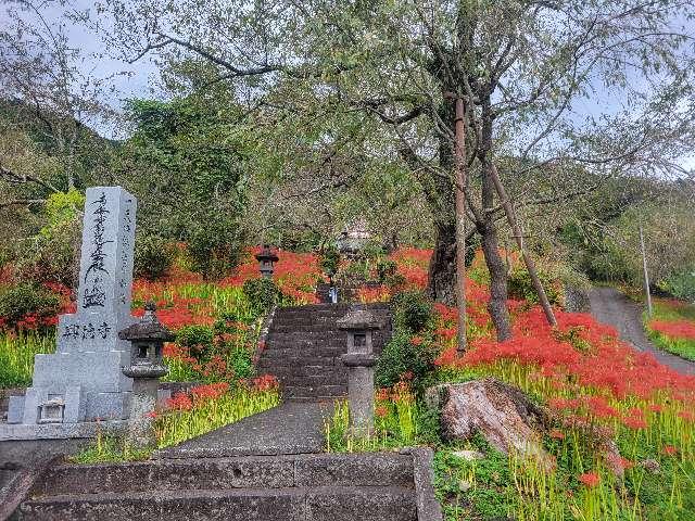 静岡県富士宮市下柚野431 大日蓮華山 興徳寺の写真1