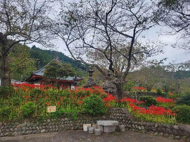 静岡県富士宮市下柚野431 大日蓮華山 興徳寺の写真2