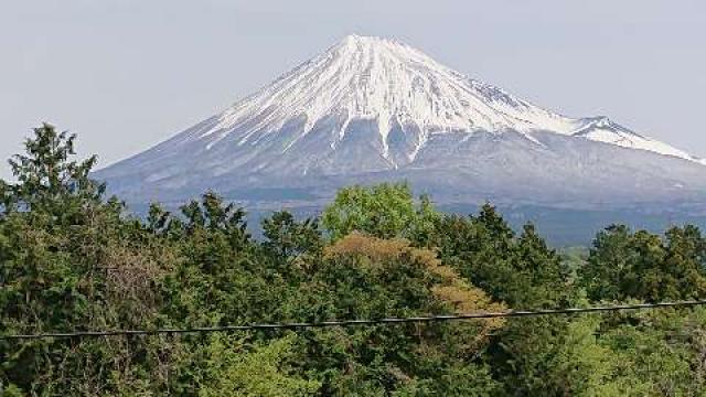 静岡県富士市中野635 妙富山 法蔵寺の写真6