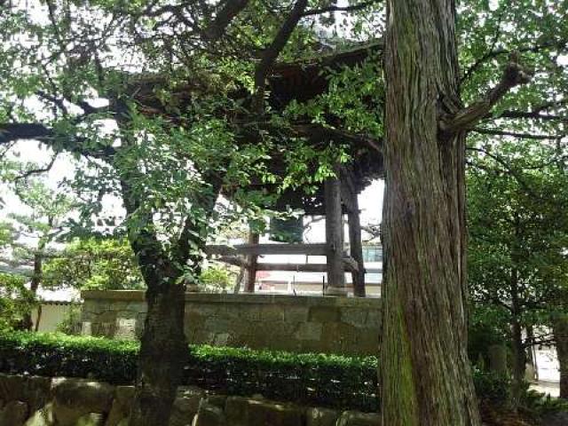 愛知県安城市今本町1-6-30 専超寺の写真3