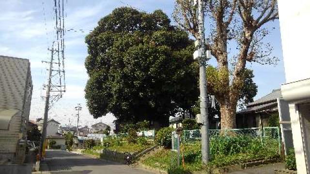 愛知県安城市西別所町観音49 水月寺の写真3