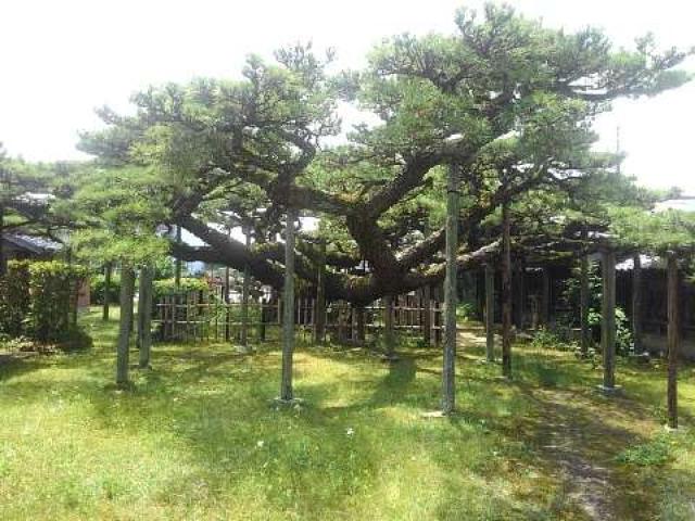 愛知県安城市浜屋町北屋敷17 永安寺の写真3