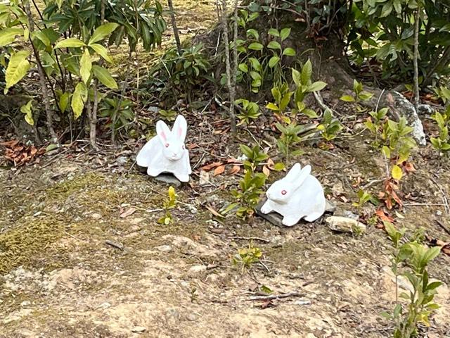 雲龍山 本證寺の参拝記録10