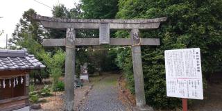 春日神社の参拝記録(七志乃権兵衛さん)