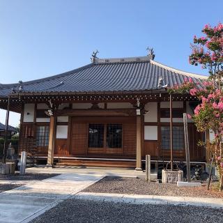 蓮照寺の参拝記録(ワヲンさん)