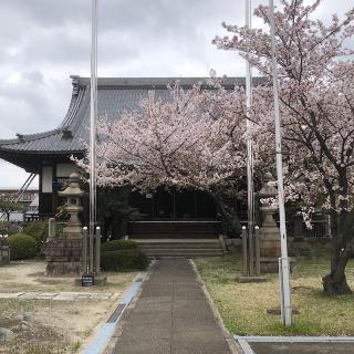 法蓮寺の参拝記録(ワヲンさん)