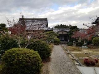 国分寺の参拝記録(銀玉鉄砲さん)