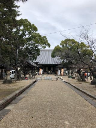 成道山松安院 大樹寺の参拝記録(ヒデさん)