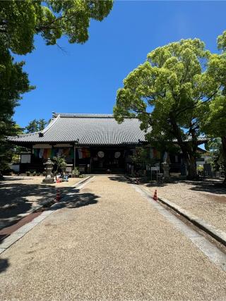成道山松安院 大樹寺の参拝記録(チップさん)