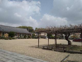 三河別院の参拝記録(yukiさん)