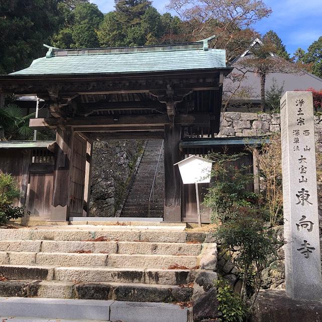 東向寺の参拝記録1